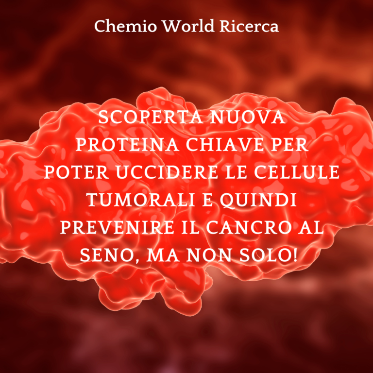 SCOPERTA NUOVA PROTEINA CHIAVE PER POTER UCCIDERE LE CELLULE TUMORALI E QUINDI PREVENIRE IL CANCRO AL SENo, ma non solo!